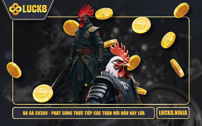 Đá Gà SV388 - Phát Sóng Trực Tiếp Các Trận Đối Đầu Nảy Lửa 1 Đá Gà SV388 - Phát Sóng Trực Tiếp Các Trận Đối Đầu Nảy Lửa