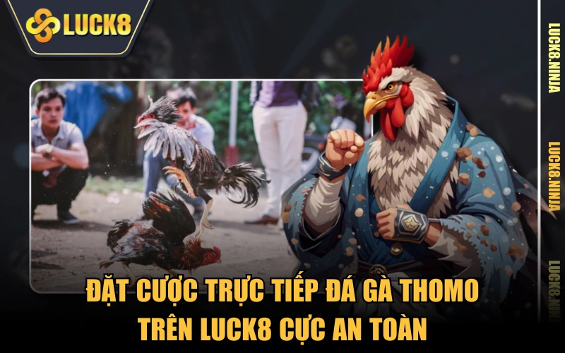 Đá Gà Thomo - Đấu Trường Của Những Chiến Kê Hạng Nhất 5 Đặt cược trực tiếp đá gà Thomo trên LUCK8 cực an toàn