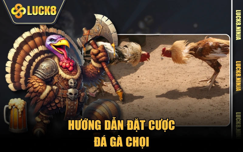 Đá Gà Chọi Truyền Thống - Tất Tần Tật Các Thông Tin 5 Hướng dẫn đặt cược đá gà chọi