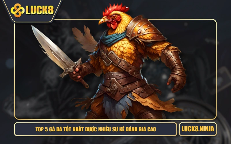 Top 5 Gà Đá Tốt Nhất Được Nhiều Sư Kê Đánh Giá Cao 1 Top 5 Gà Đá Tốt Nhất Được Nhiều Sư Kê Đánh Giá Cao